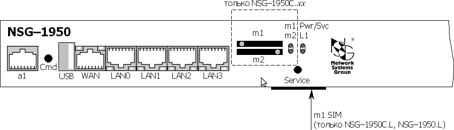 Устройства NSG-1950, NSG-1950C. Задняя панель.
