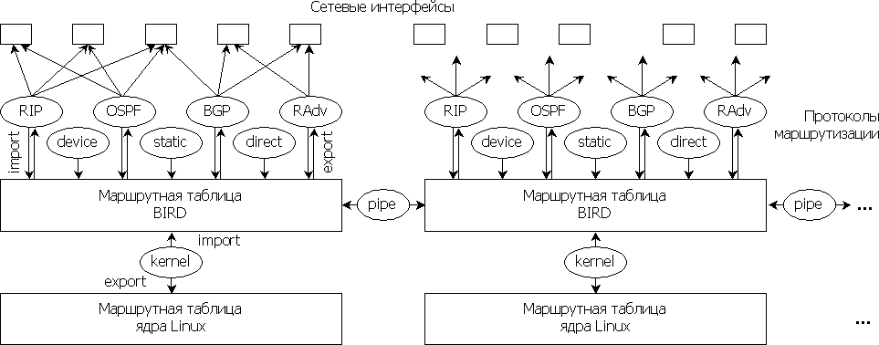 Схема обмена маршрутной информацией в пакете BIRD